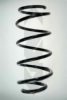 SPIDAN 56194 Coil Spring